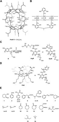 Corrigendum: Chiral water-soluble molecular capsules with amphiphilic interiors